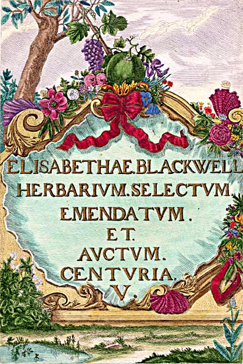 Blackwells Kraeuterbuch Herbarium Selectum