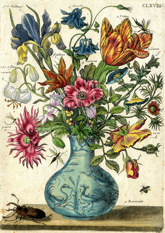 Maria Sibylla Merian Blumenbuch