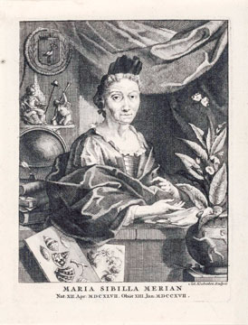 Portrait Maria Sibylla Merian